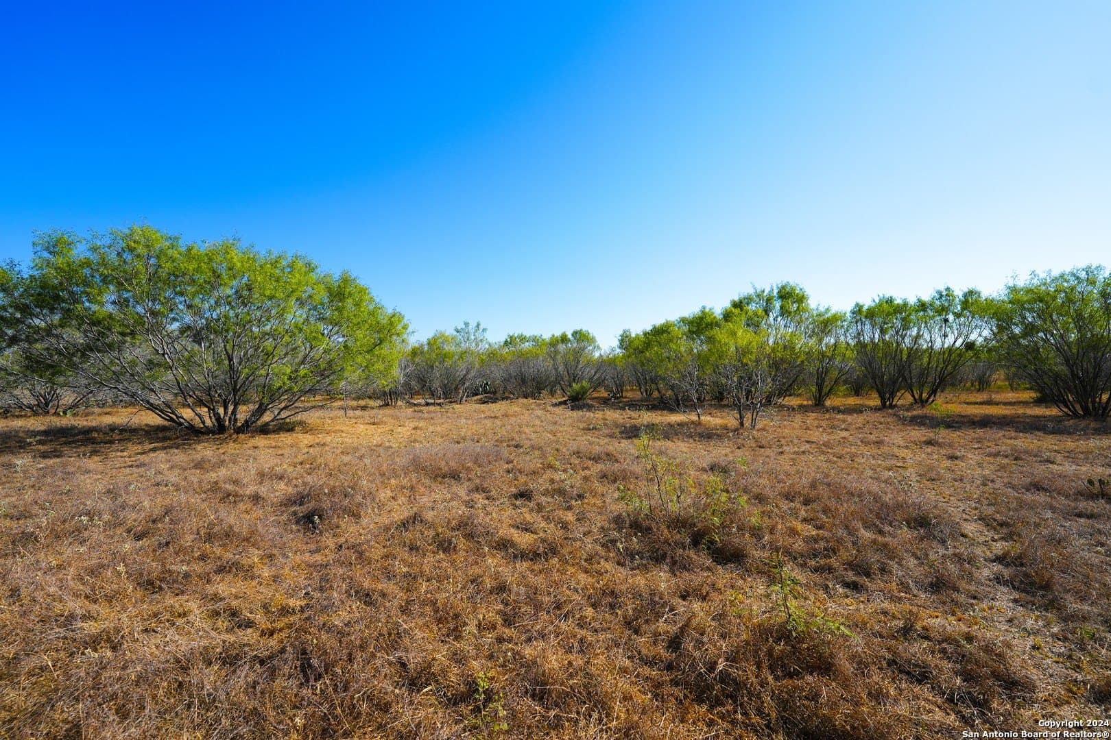 81.8 acres in Atascosa County - photo 6