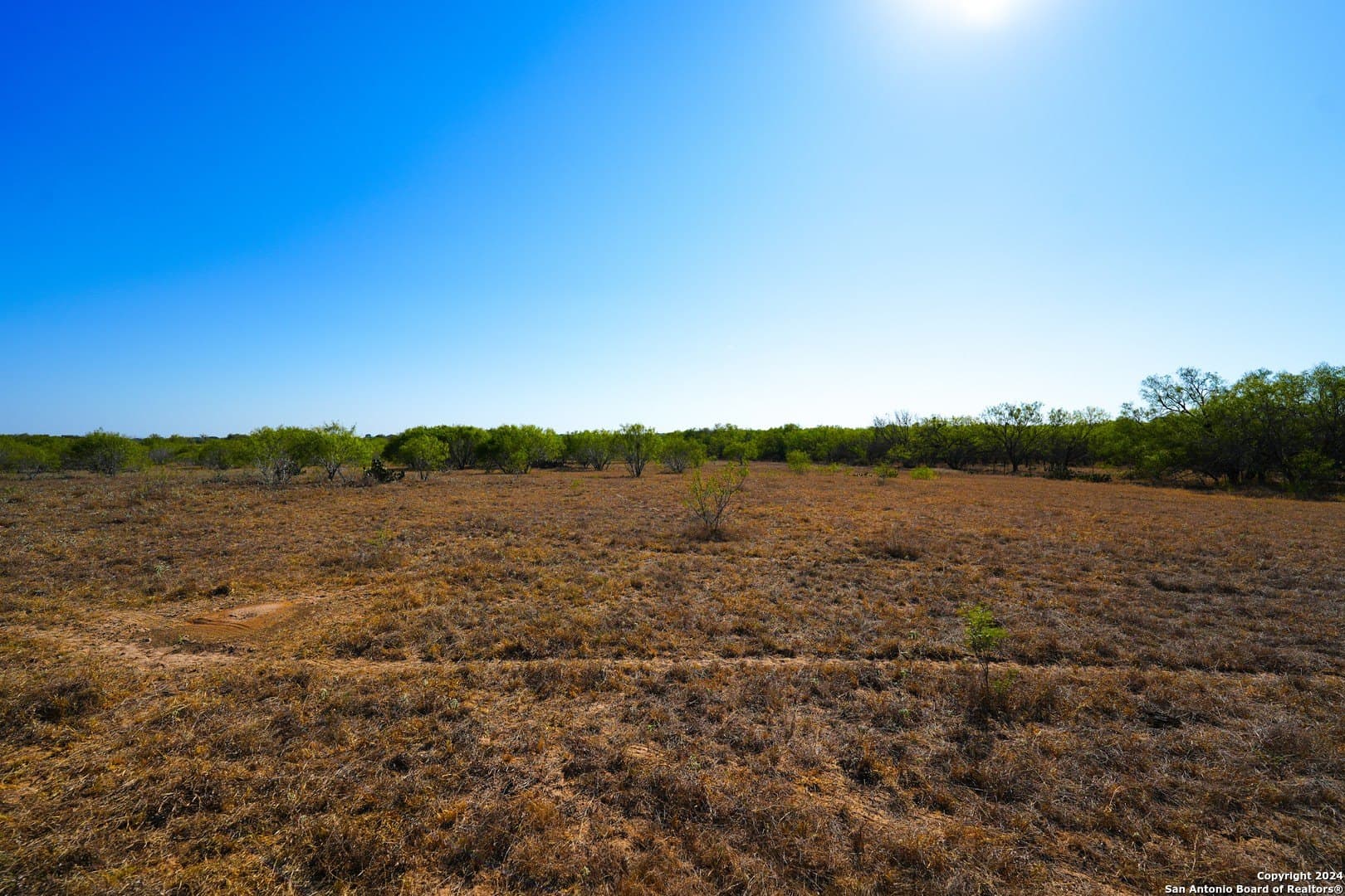 81.8 acres in Atascosa County - photo 4