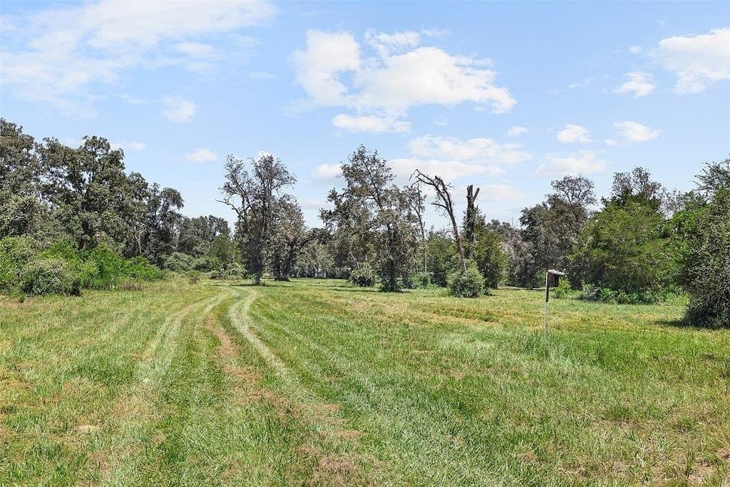 46.22 acres in Colorado County - photo 16