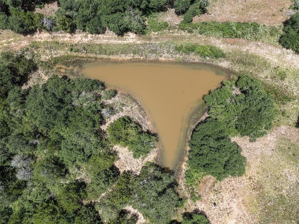 46.22 acres in Colorado County - photo 3