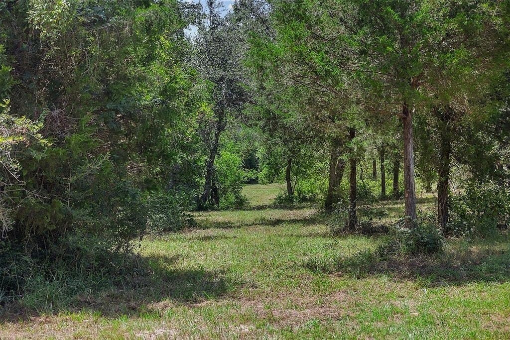 46.22 acres in Colorado County - photo 8