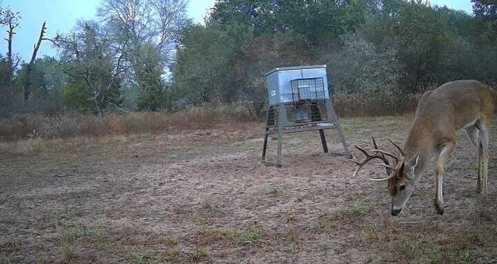 46.22 acres in Colorado County - photo 25