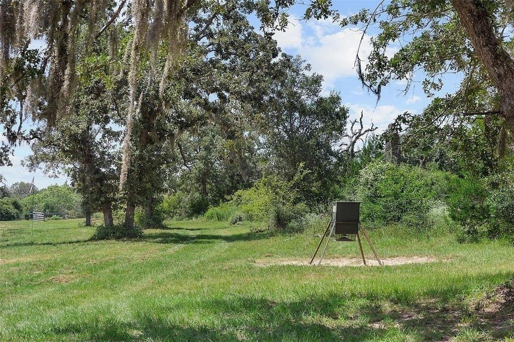 46.22 acres in Colorado County - photo 17