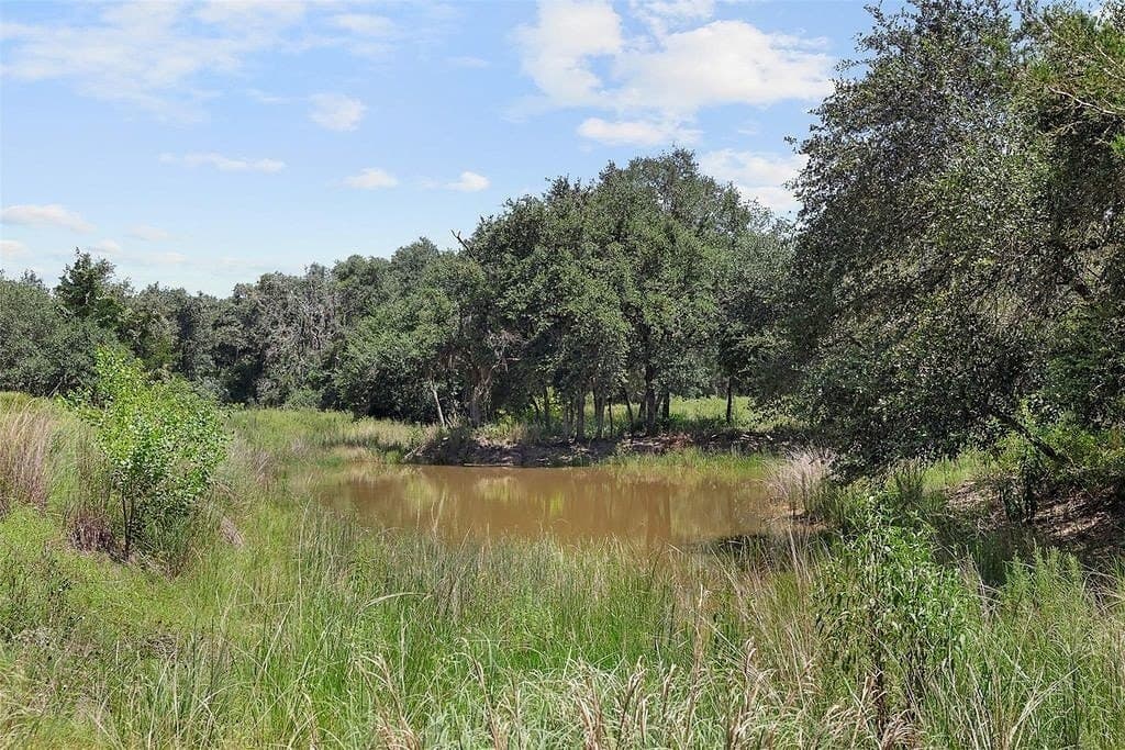 46.22 acres in Colorado County - photo 27