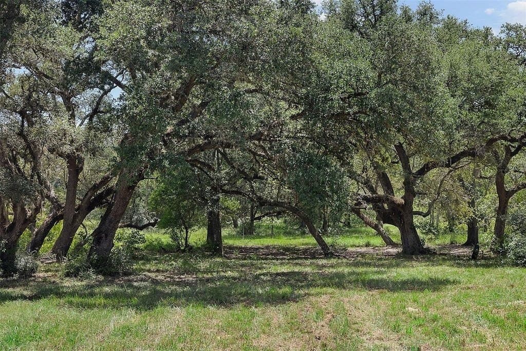 46.22 acres in Colorado County - photo 2