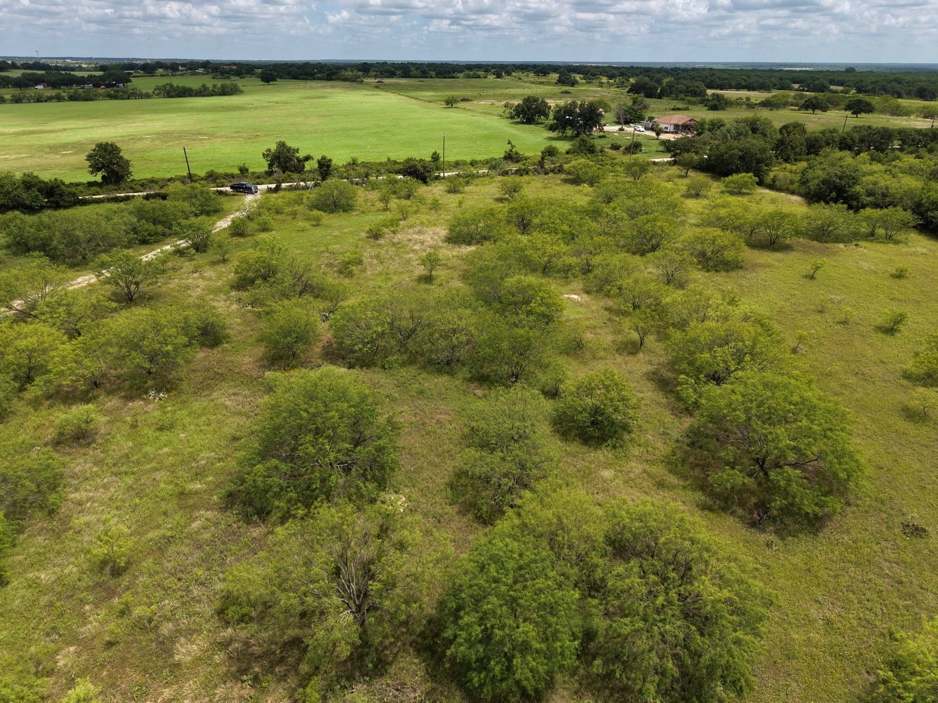 20 acres in Eastland County - photo 5