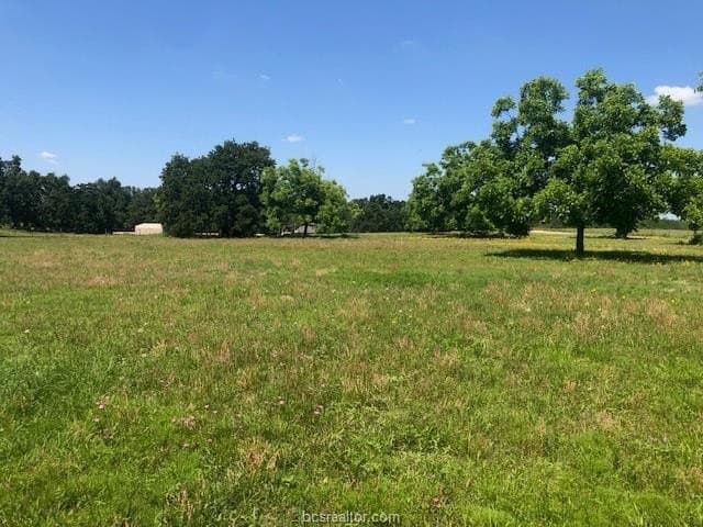 5 acres in Robertson County - photo 13