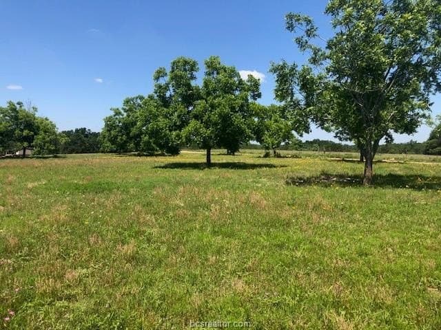 5 acres in Robertson County - photo 14