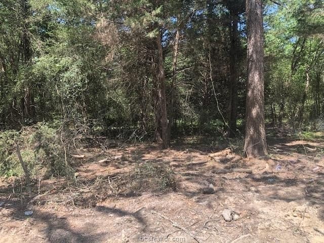 5 acres in Robertson County - photo 17
