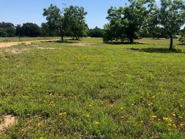 5 acres in Robertson County - photo 10
