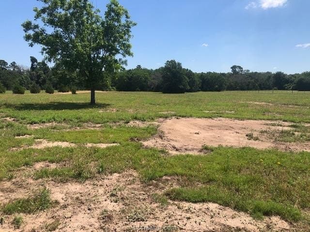 5 acres in Robertson County - photo 11