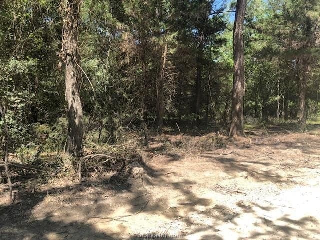 5 acres in Robertson County - photo 6