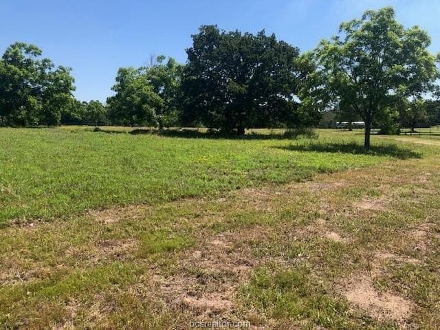 5 acres in Robertson County - photo 7