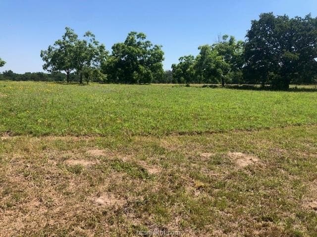 5 acres in Robertson County - photo 9