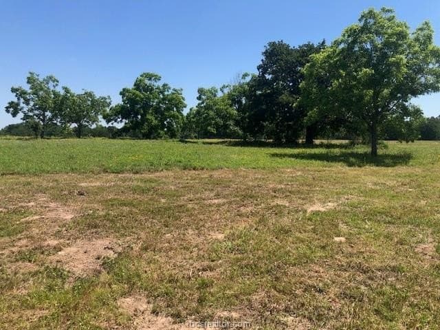 5 acres in Robertson County - photo 8