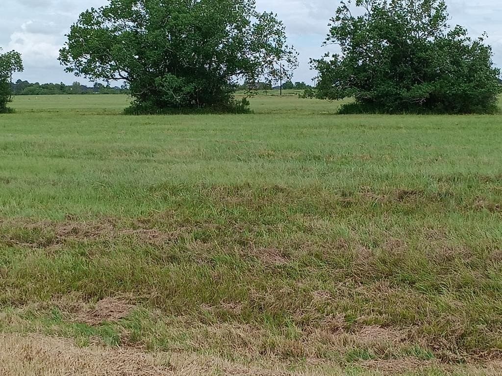 0.95 acres in Angleton County