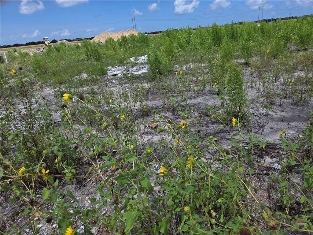 0.16 acres in Nueces County gallery image 4