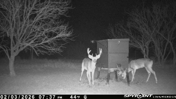 32.76 acres in Stephens County - photo 12
