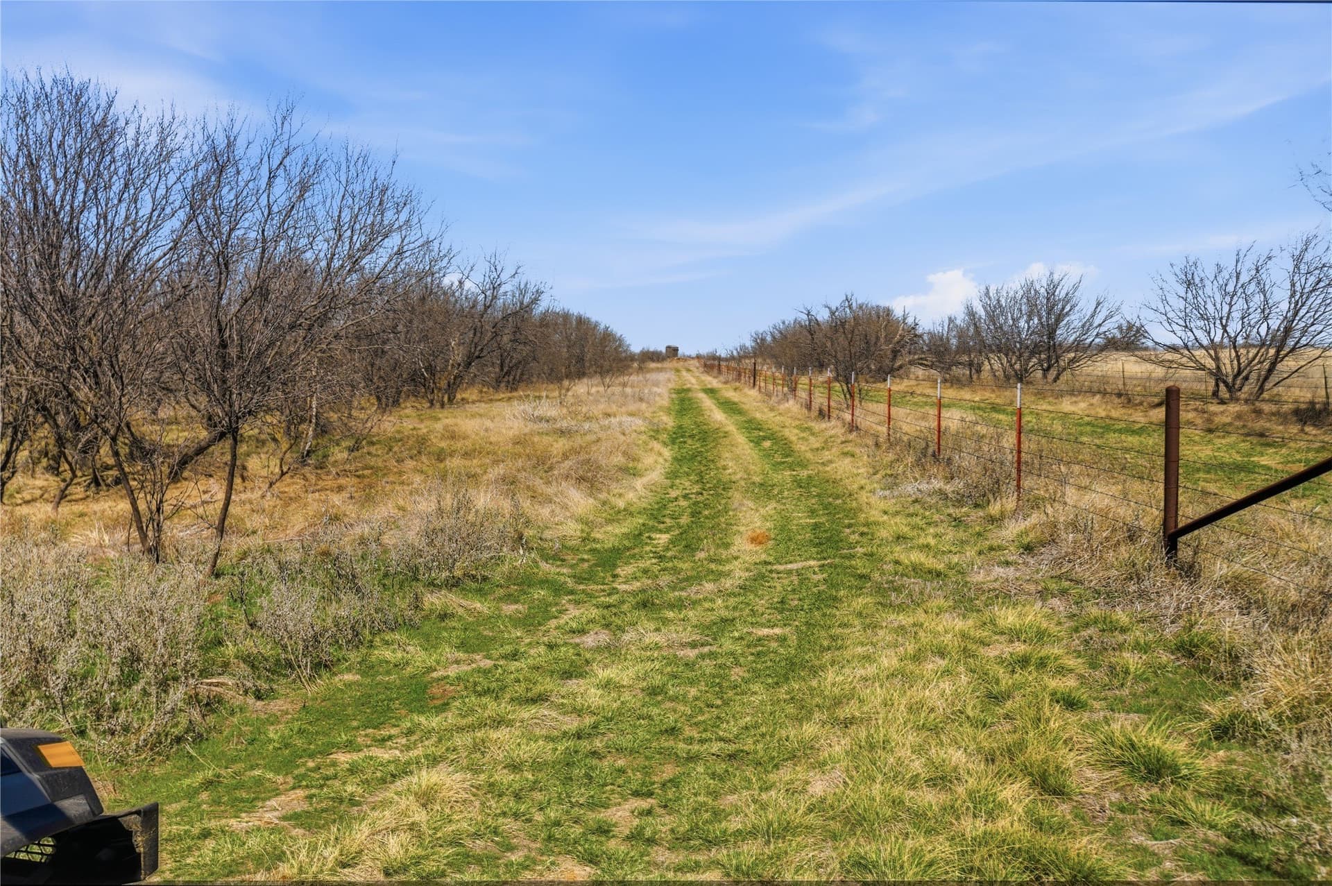 32.76 acres in Stephens County - photo 8