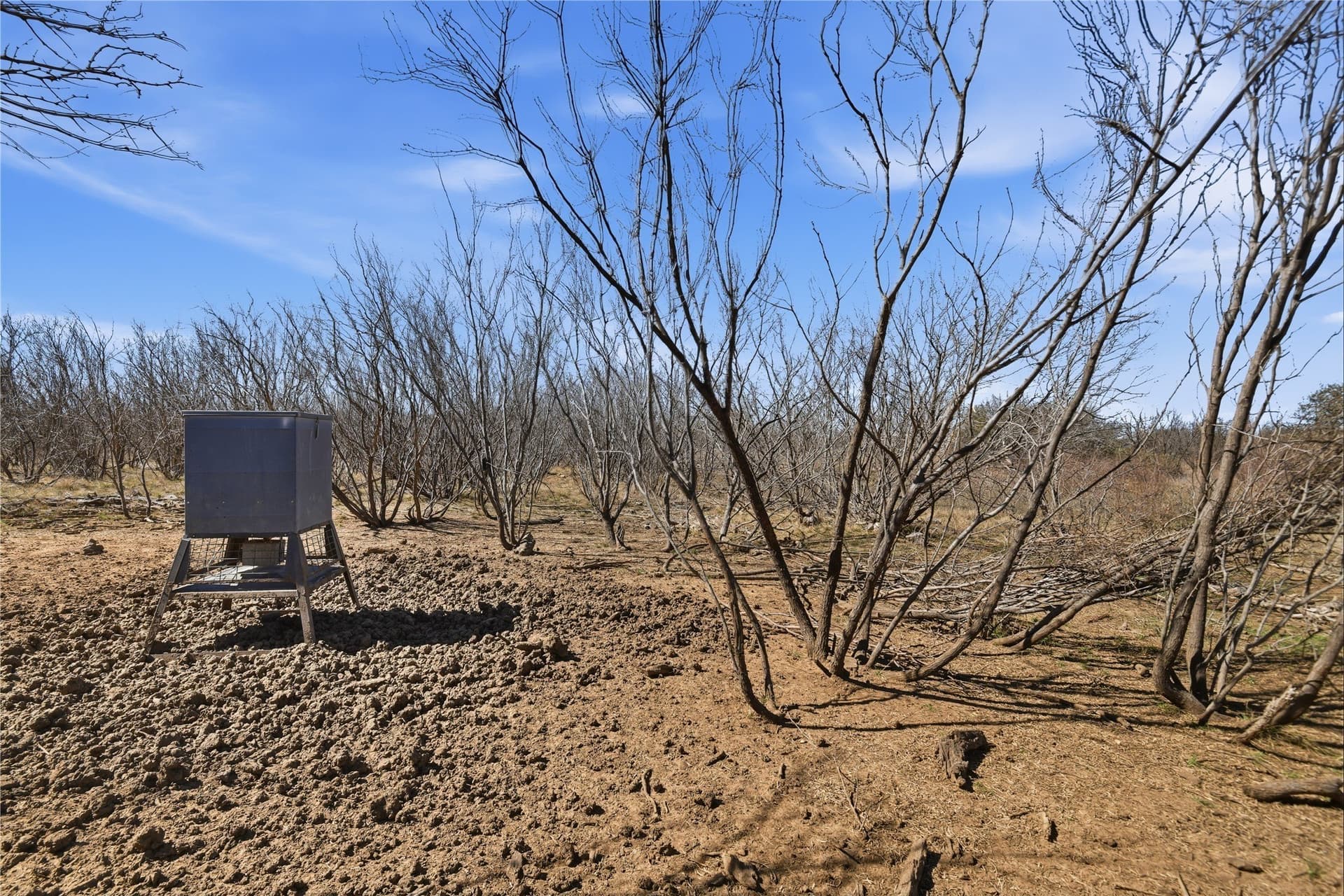 32.76 acres in Stephens County - photo 6