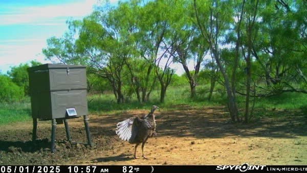 32.76 acres in Stephens County - photo 11