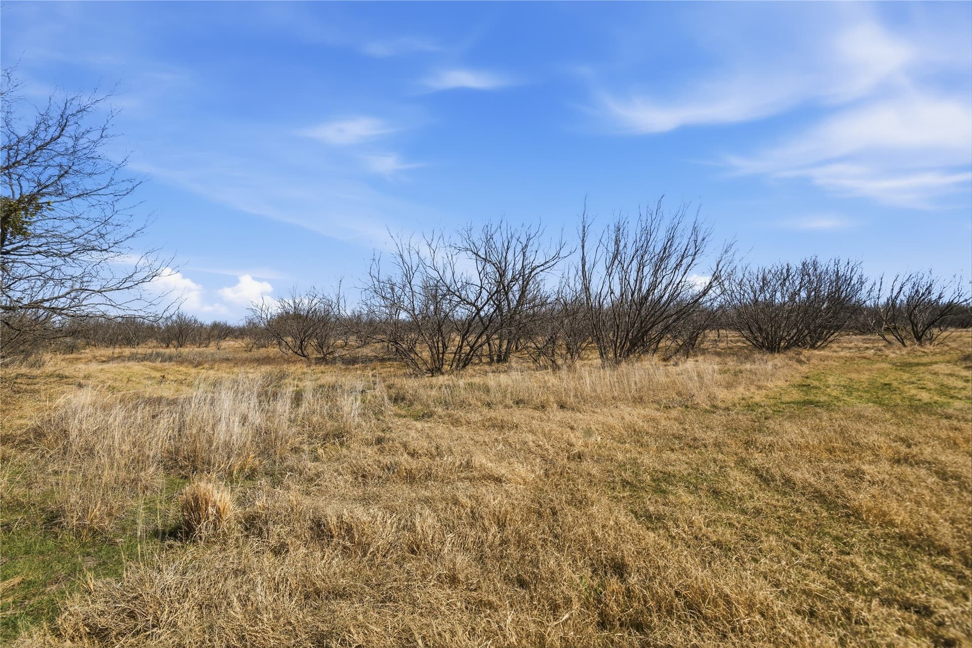 32.76 acres in Stephens County - photo 3