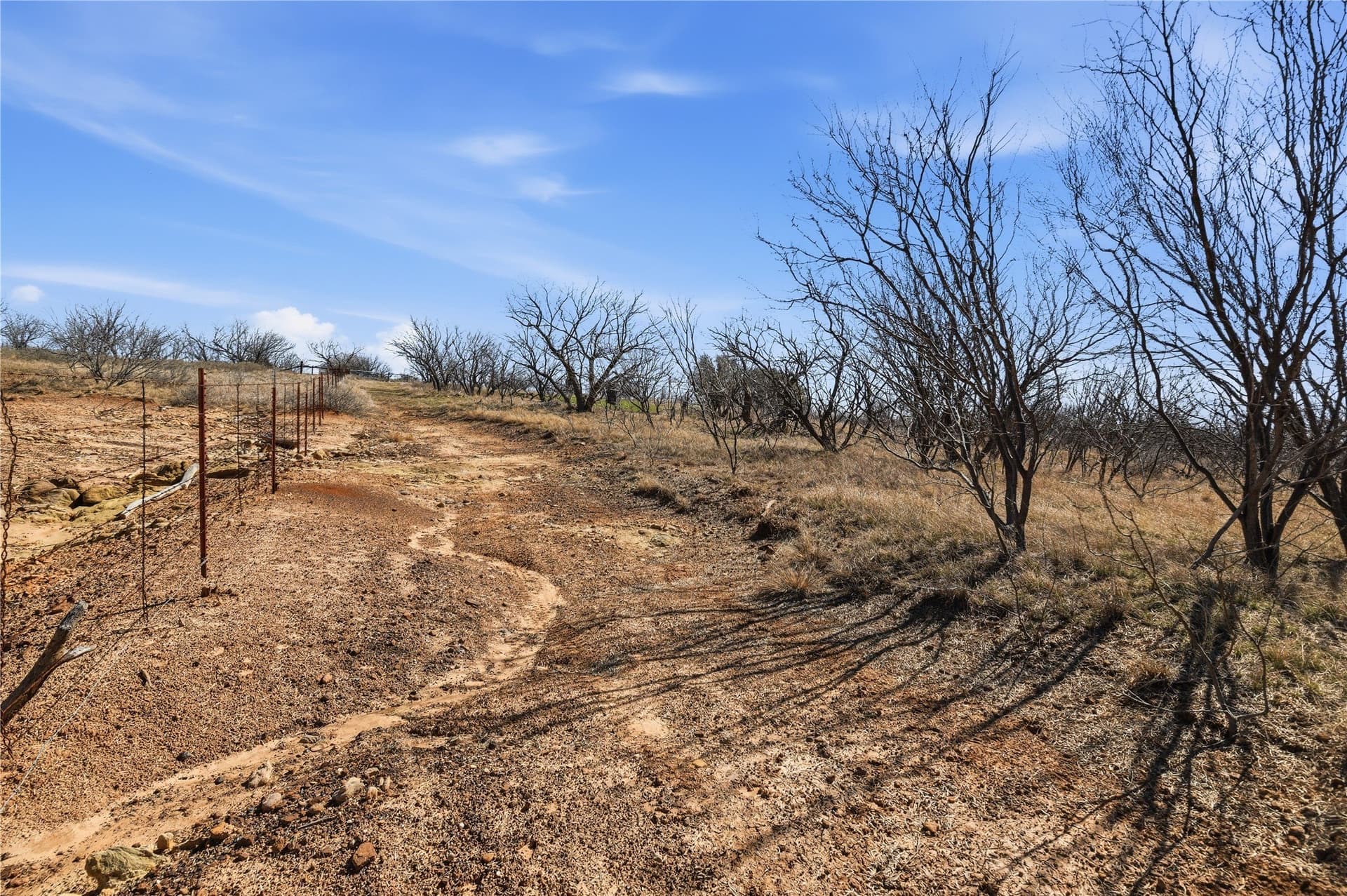 32.76 acres in Stephens County - photo 7