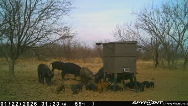 32.76 acres in Stephens County - photo 23