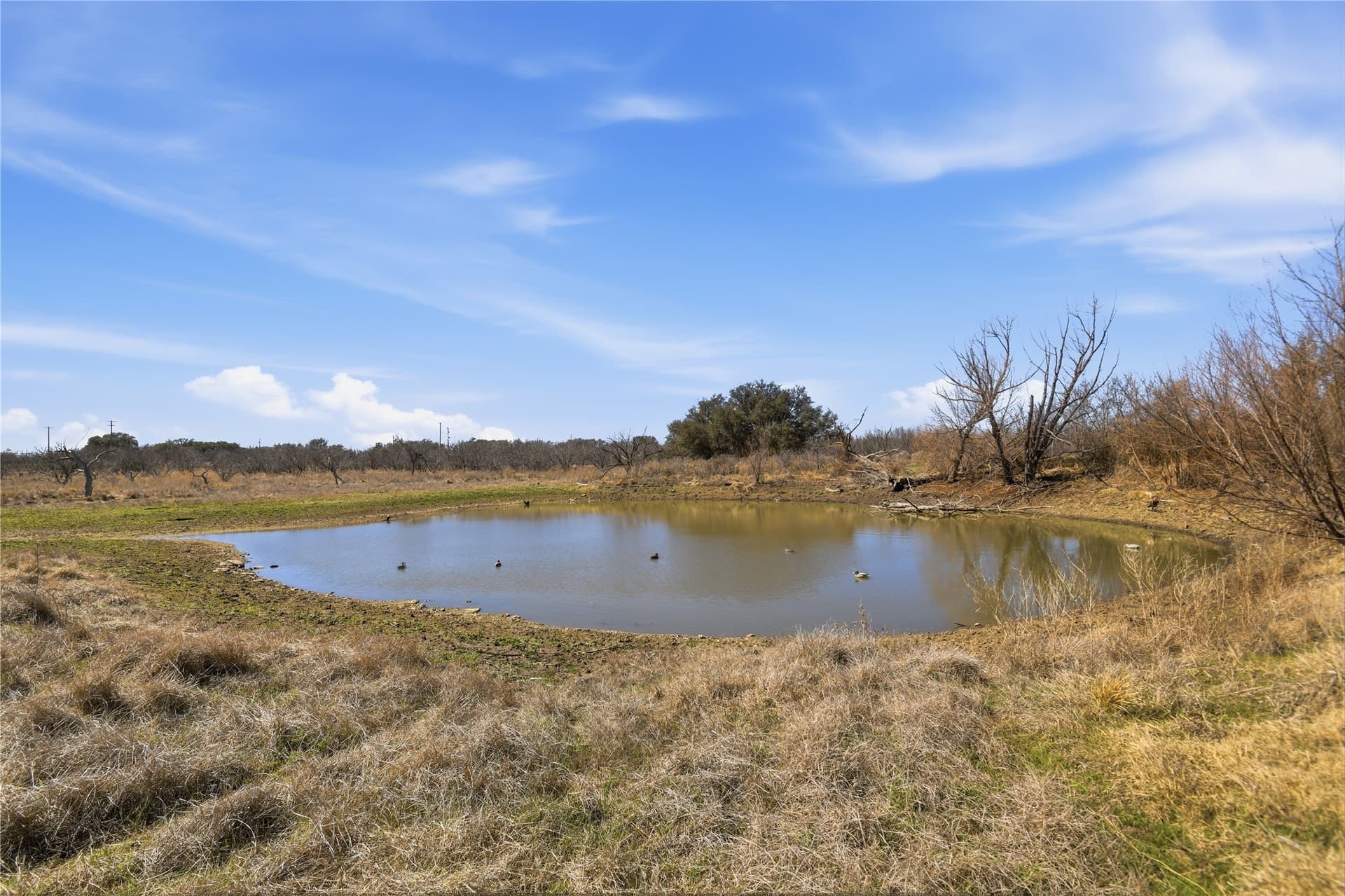 32.76 acres in Stephens County - photo 25