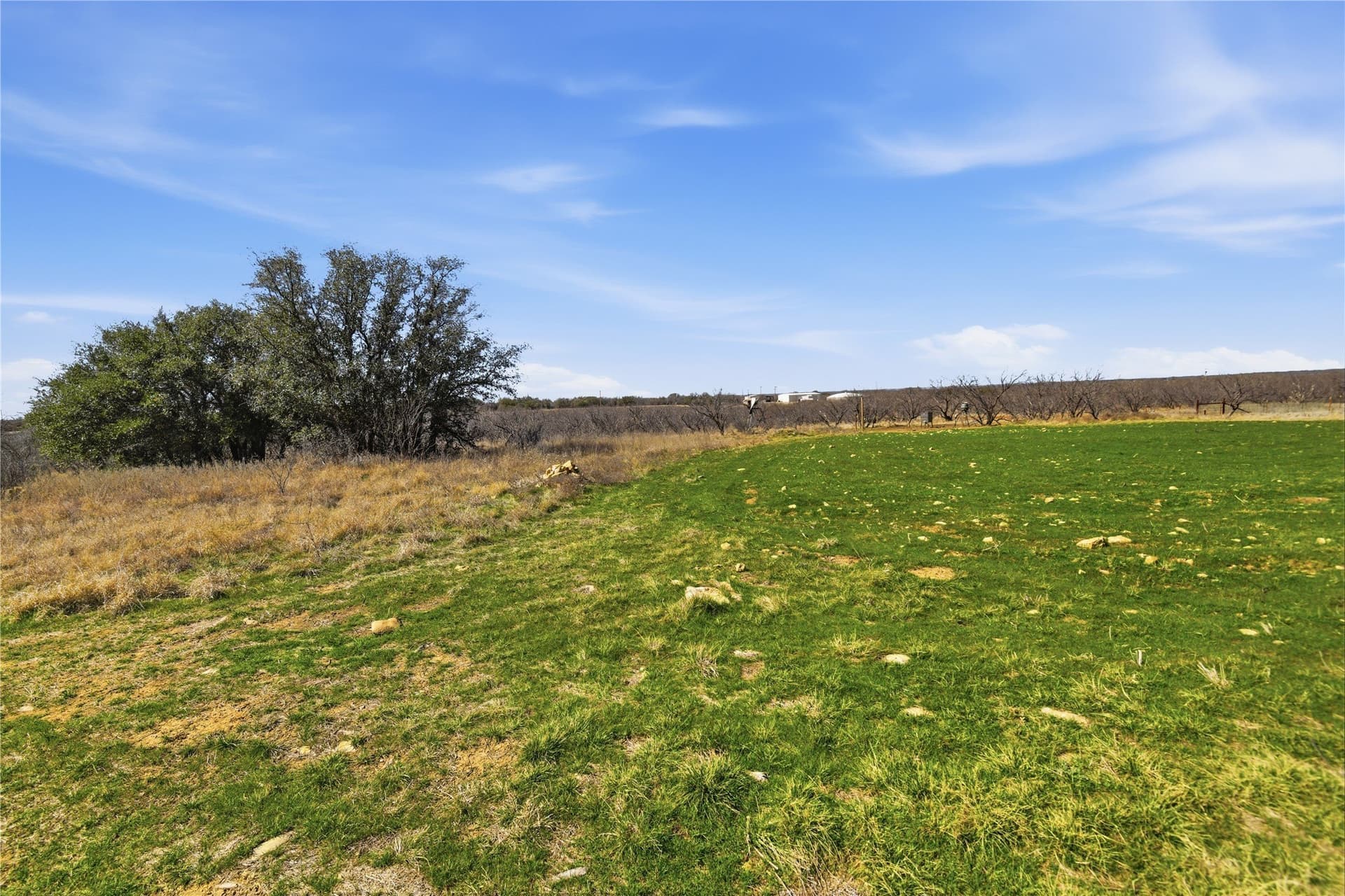 32.76 acres in Stephens County - photo 4