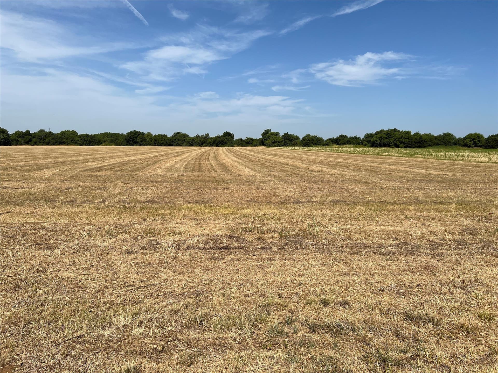 4.61 acres in Grayson County gallery image 2