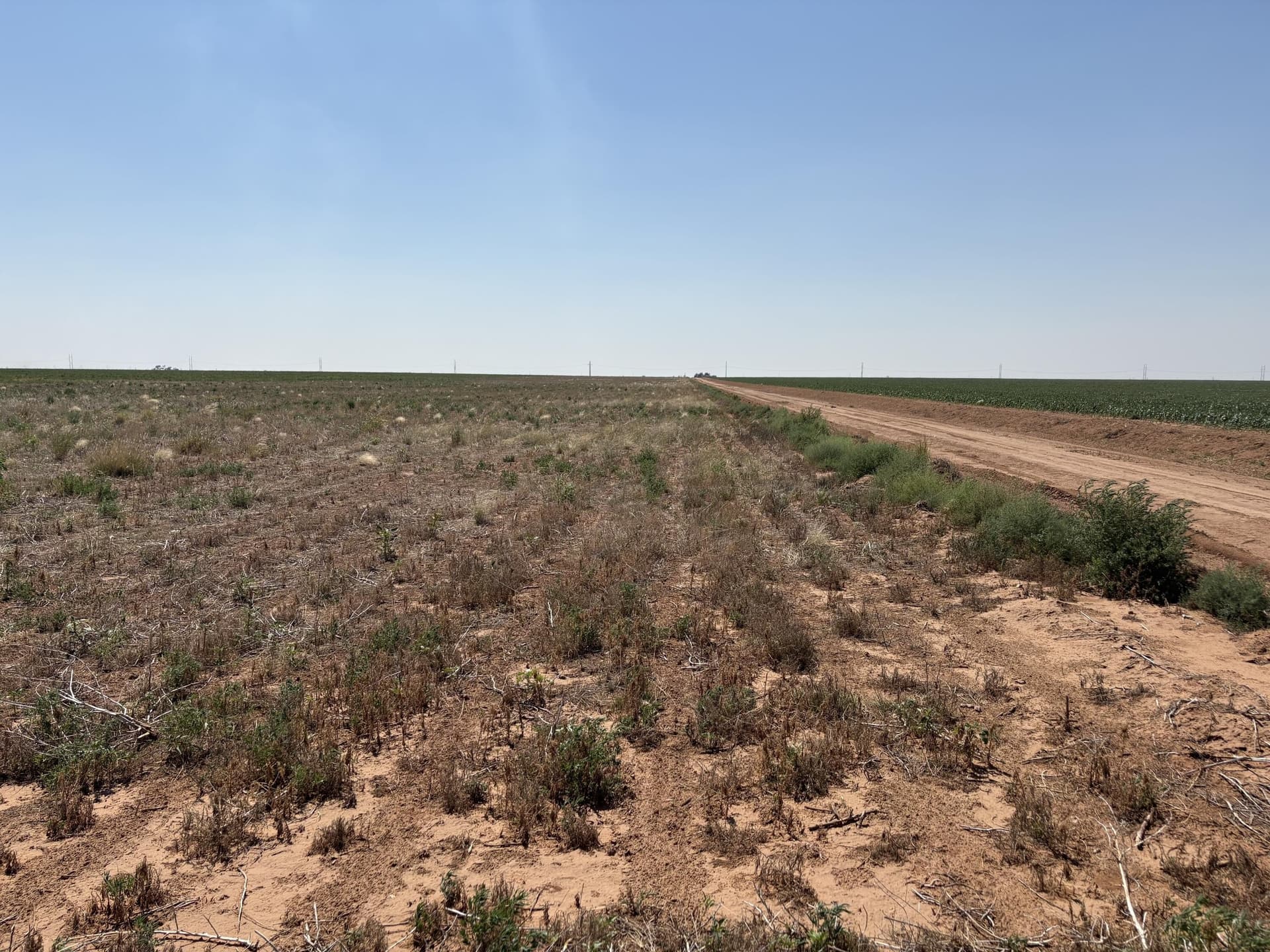177.15 acres in Hockley County - photo 3