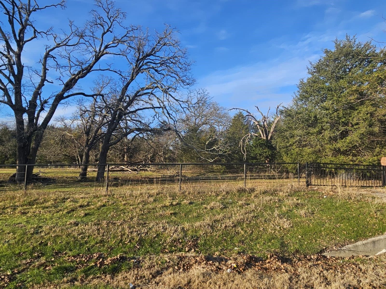 1.25 acres in Hunt County gallery image 3