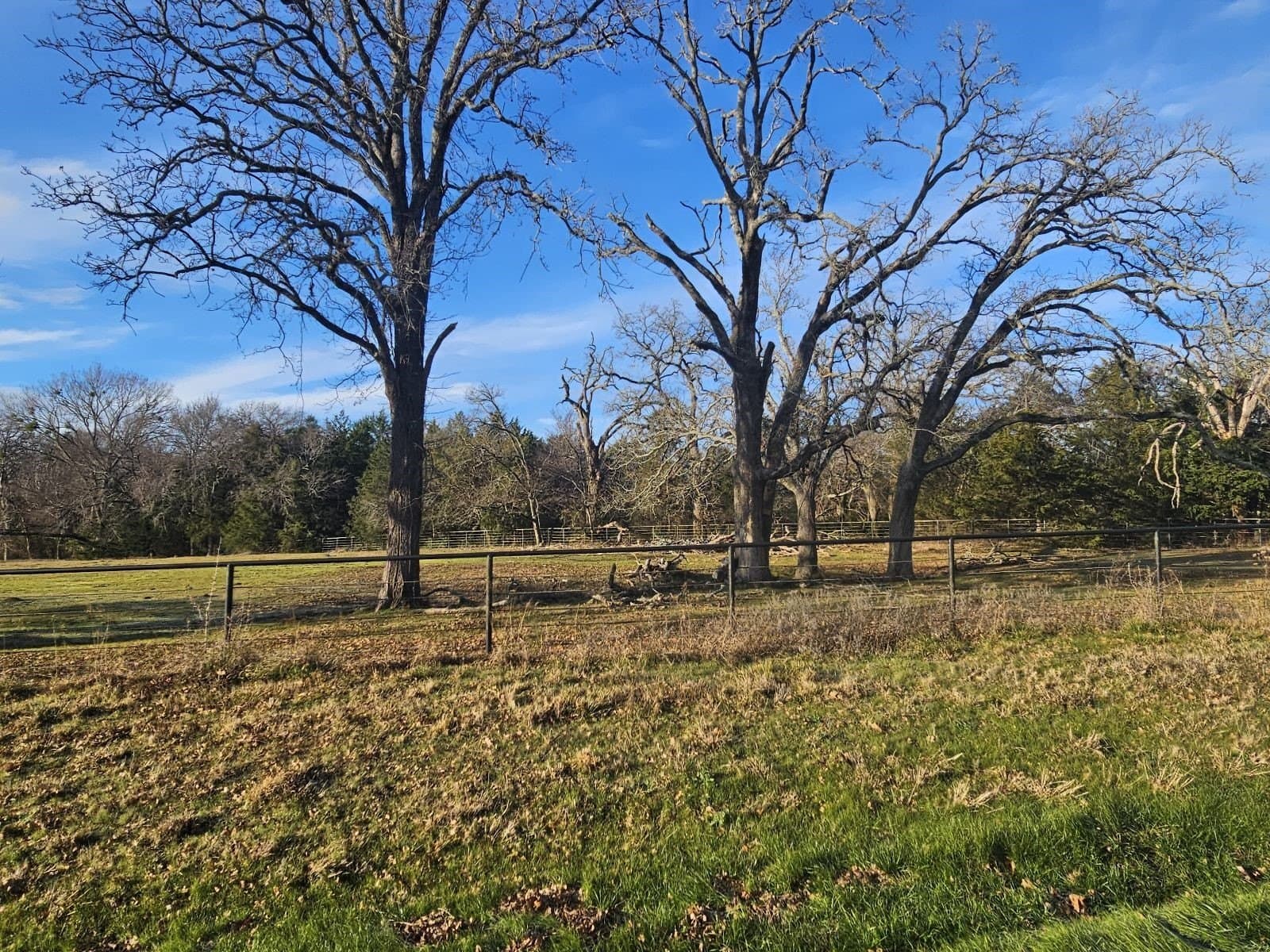 1.25 acres in Hunt County gallery image 4