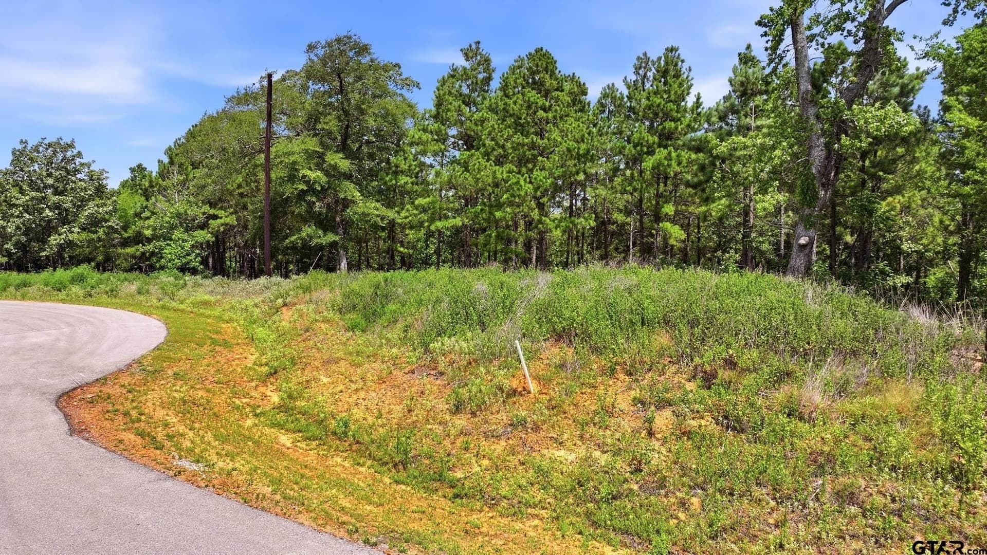 3.17 acres in Smith County gallery image 4