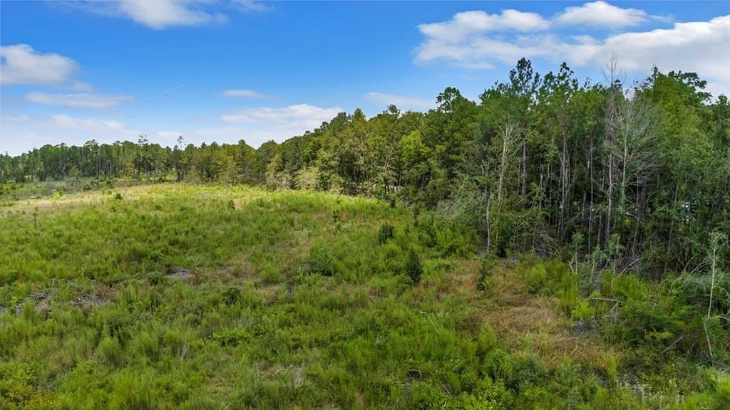 4.8 acres in Texas County - photo 15