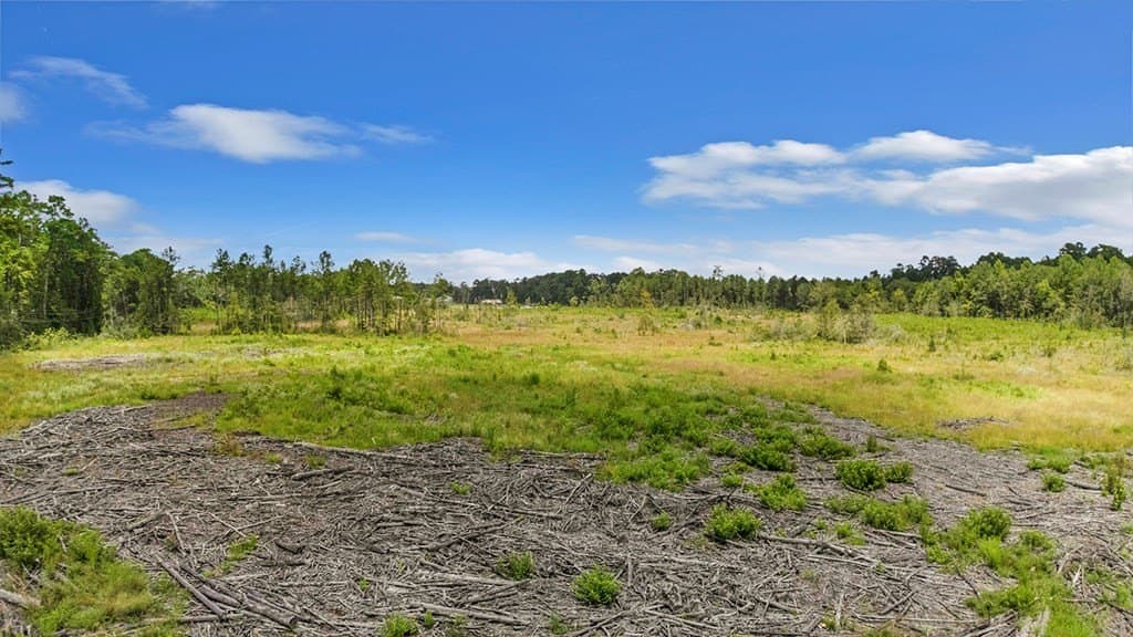 4.8 acres in Texas County - photo 7