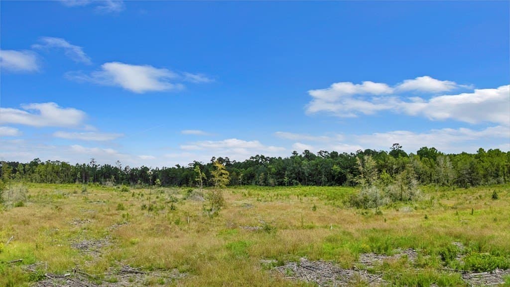 4.8 acres in Texas County - photo 6