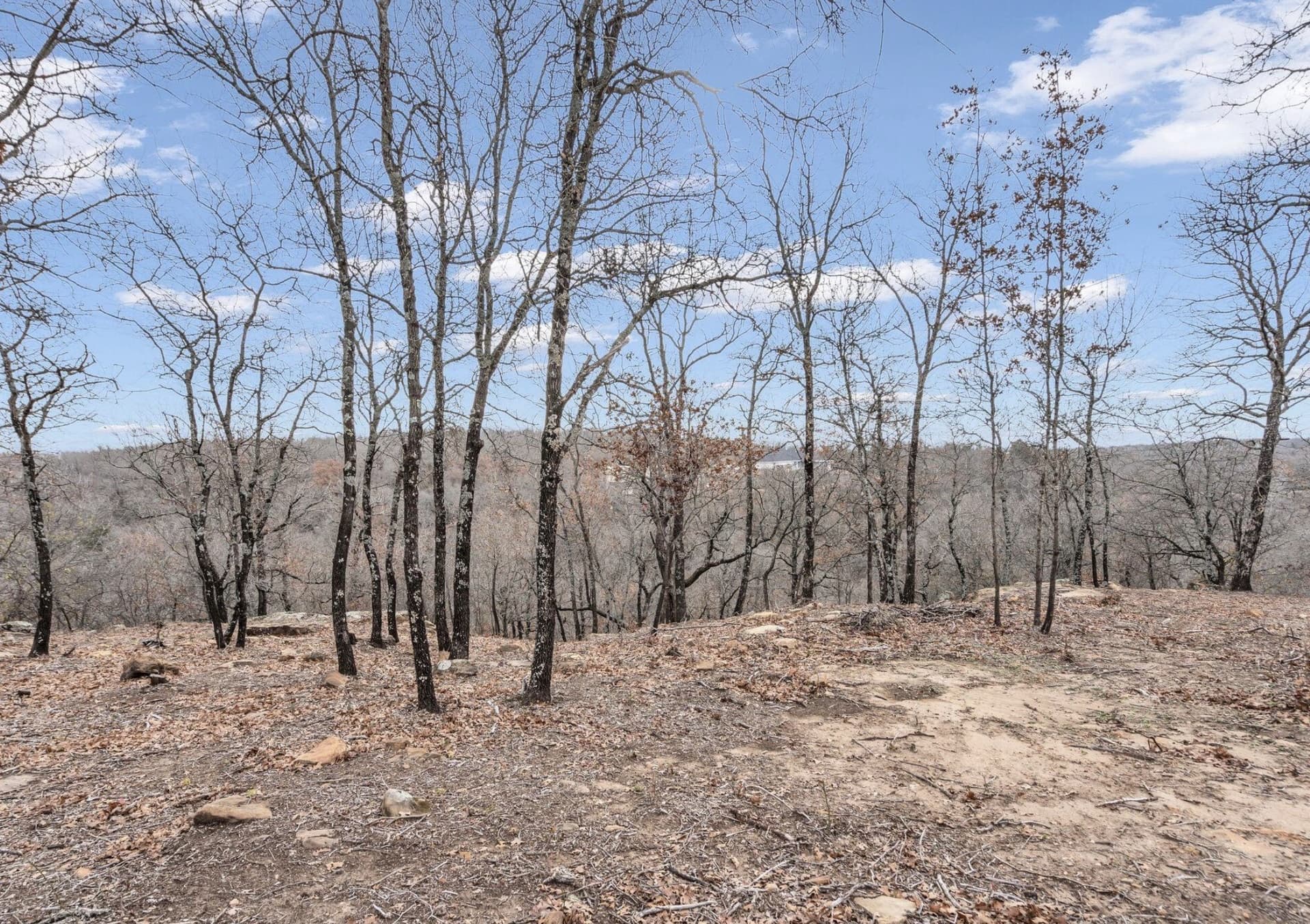 8.57 acres in Montague County - photo 12