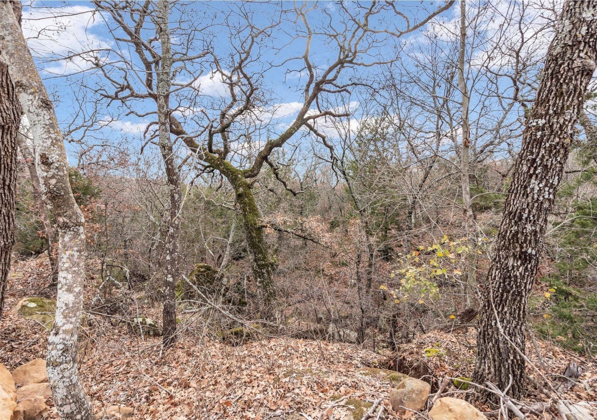 8.57 acres in Montague County - photo 19