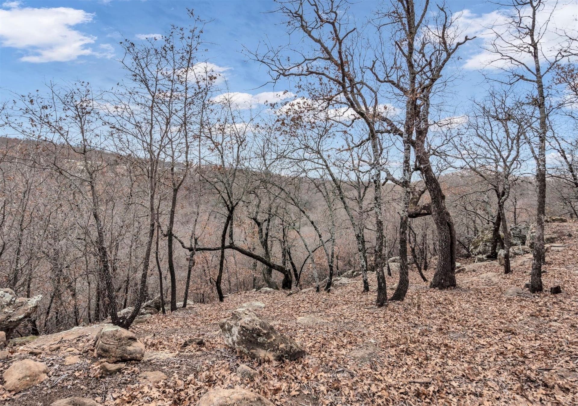 8.57 acres in Montague County - photo 26