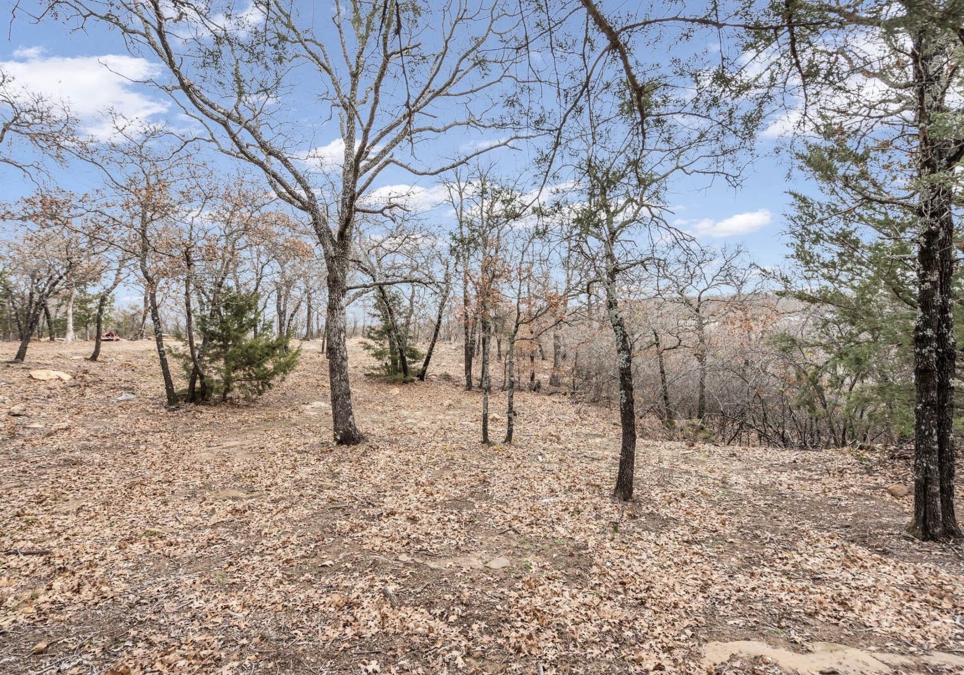 8.57 acres in Montague County - photo 27