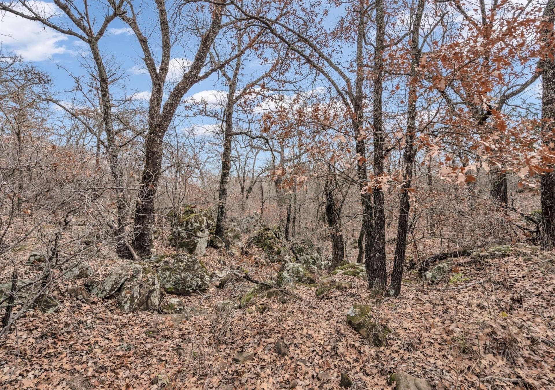 8.57 acres in Montague County - photo 24
