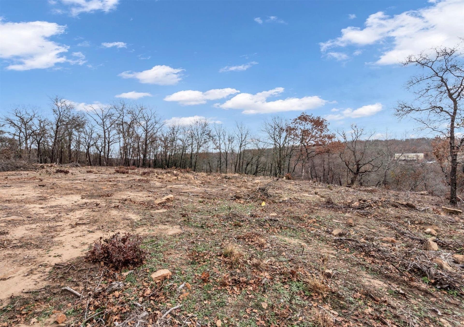 8.57 acres in Montague County - photo 13