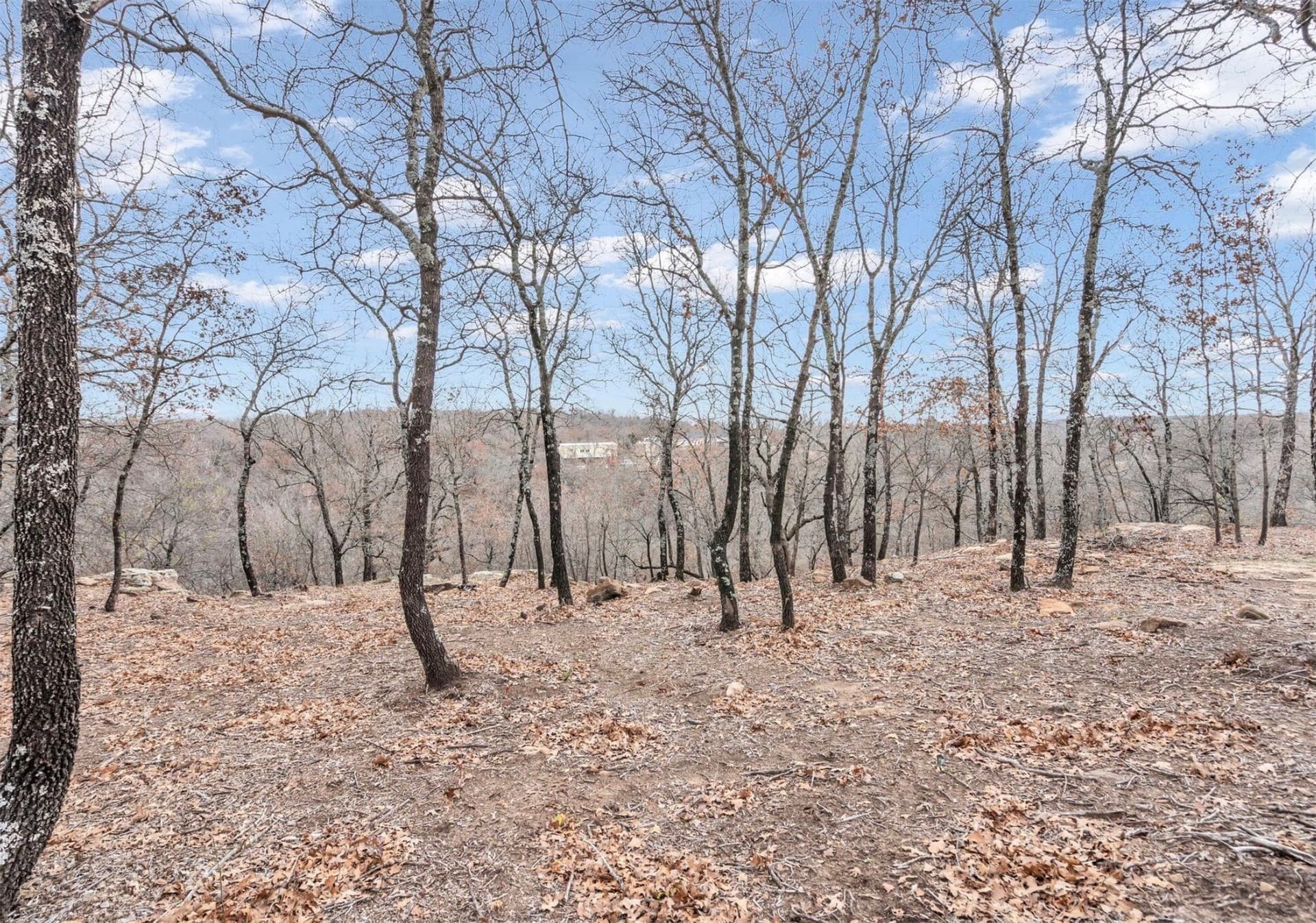 8.57 acres in Montague County - photo 29