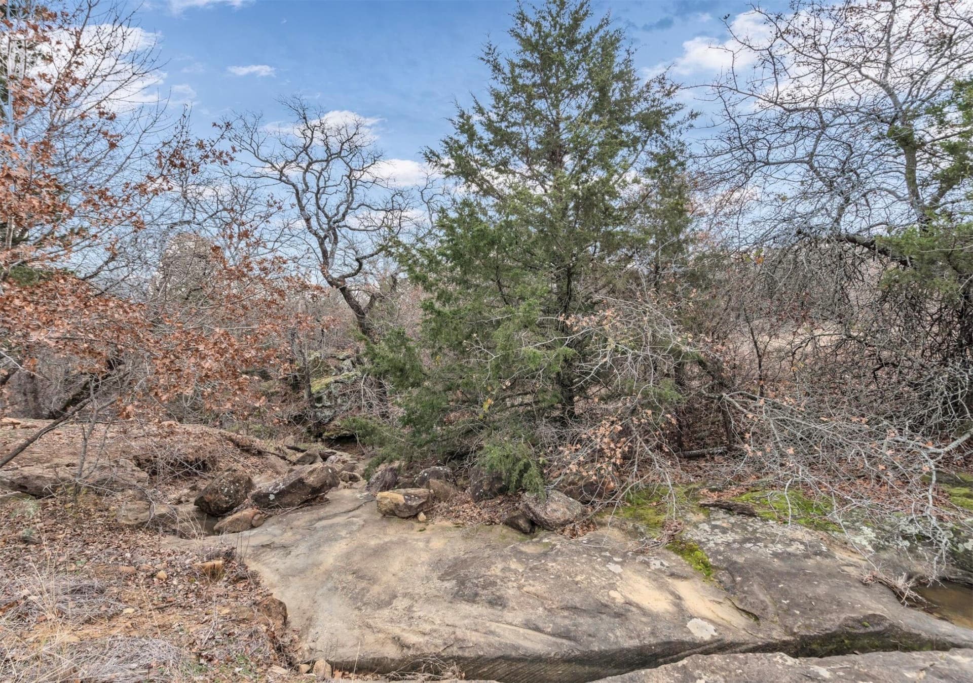 8.57 acres in Montague County - photo 20