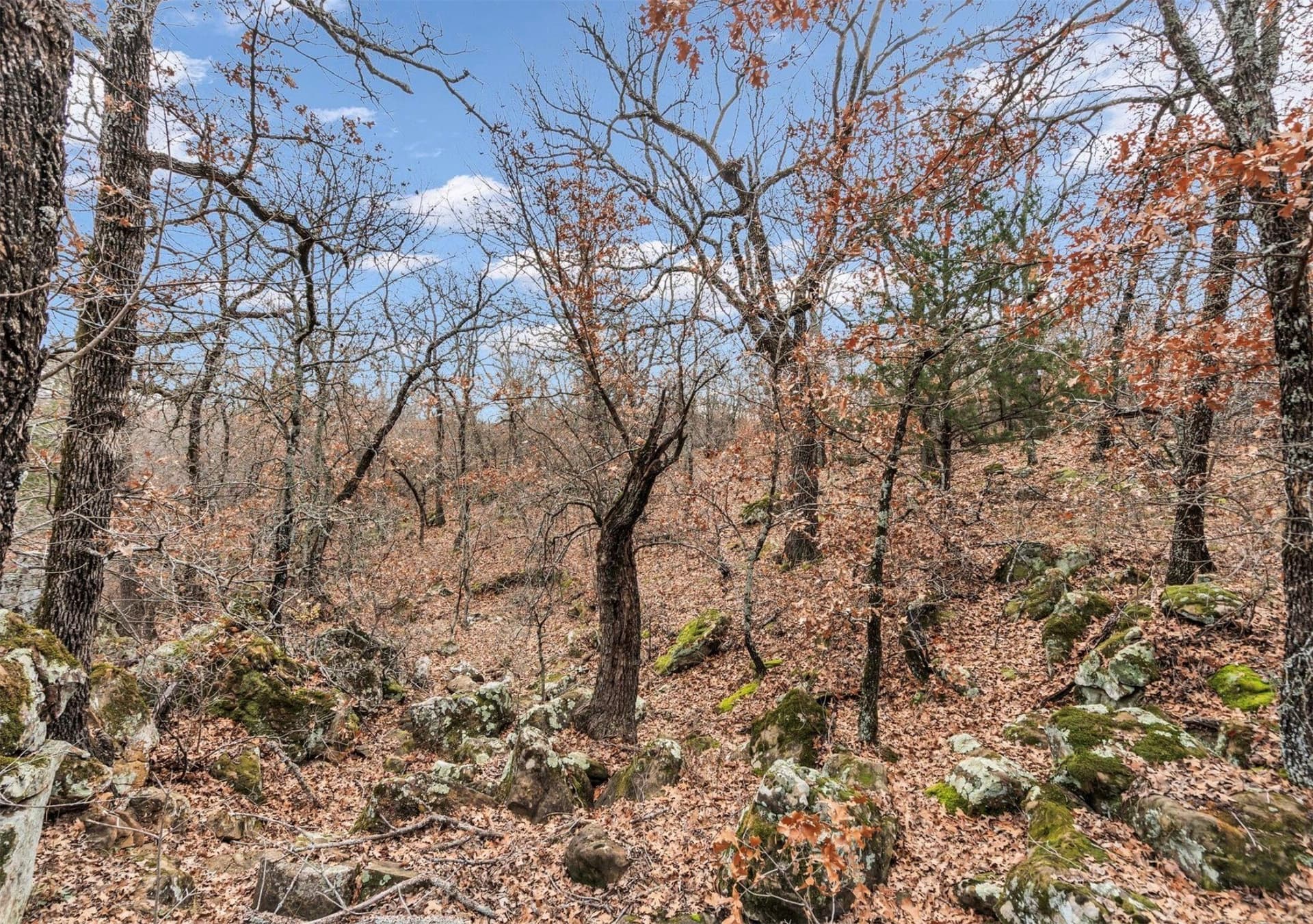 8.57 acres in Montague County - photo 23