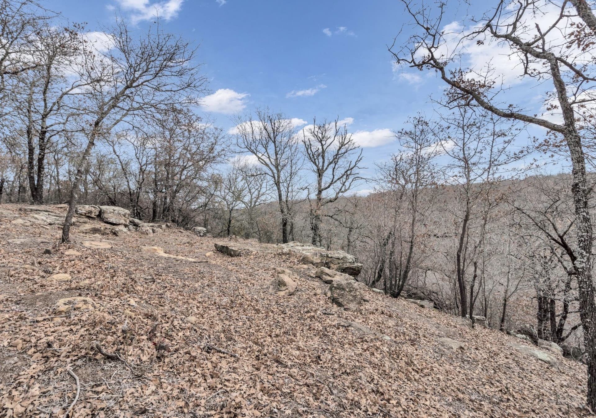 8.57 acres in Montague County - photo 28