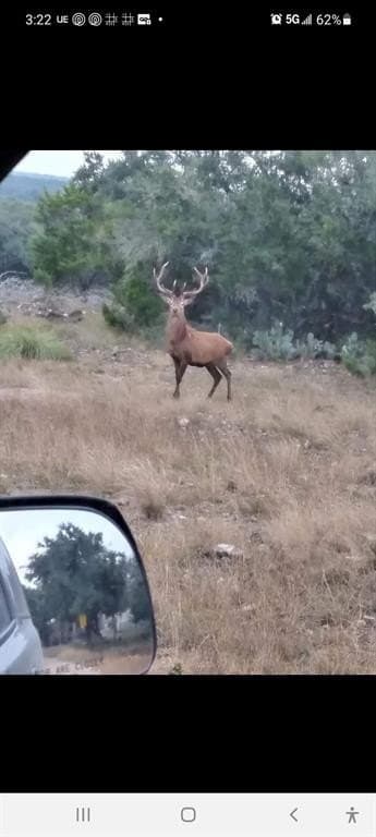 107.23 acres in Edwards County gallery image 4