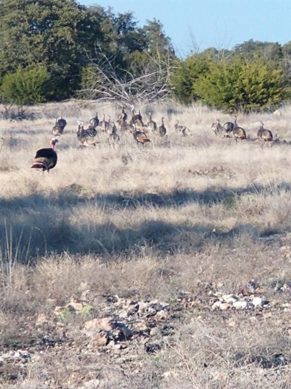 107.23 acres in Edwards County featured view